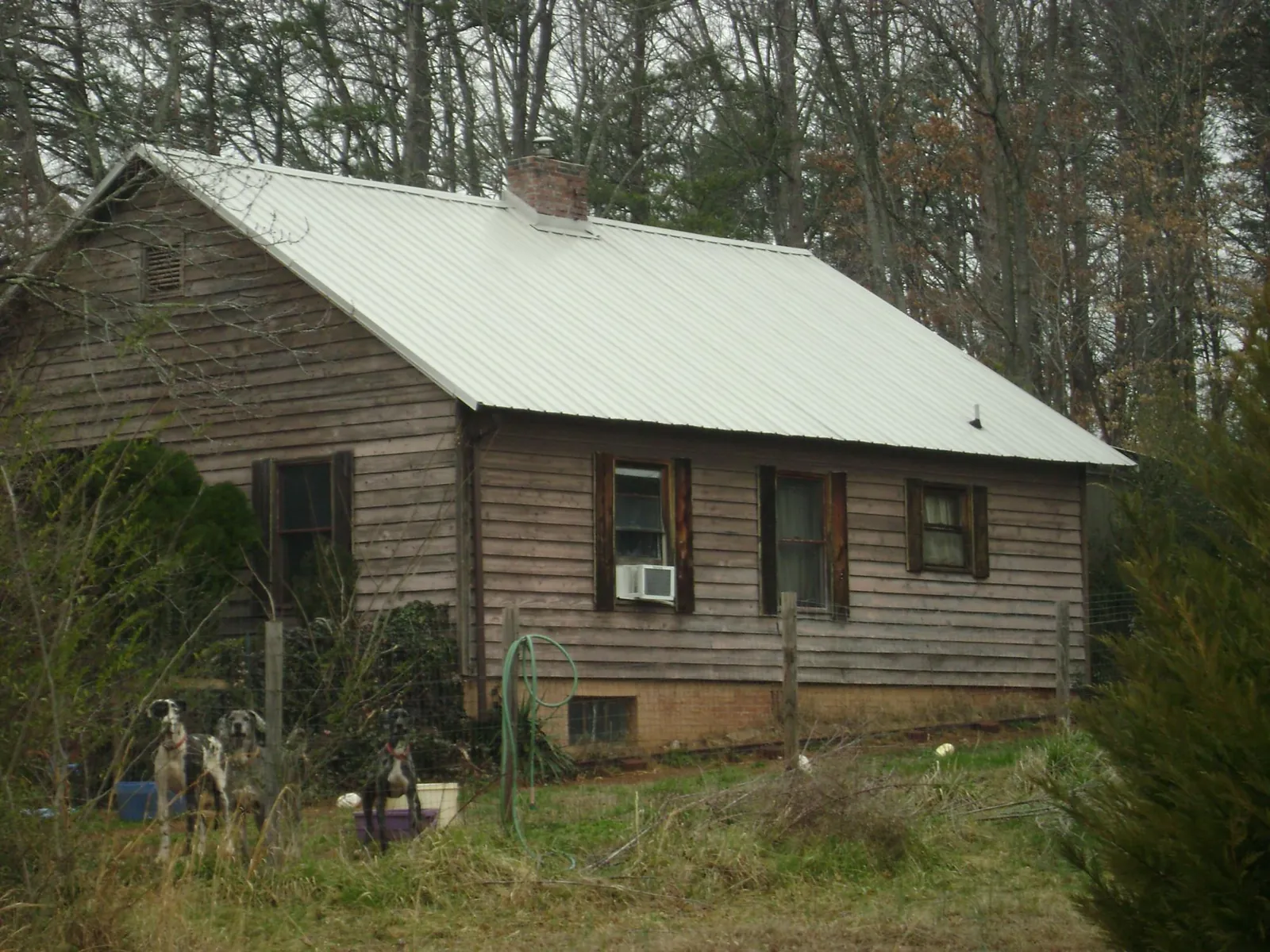 White metal roof on an old wood sided farmhouse, from a Asphalt Shingle Roof Repair job in Oakdale